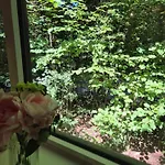 木屋 D Ooghe 杜柏