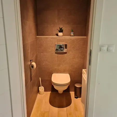 D Ooghe Alpesi faház