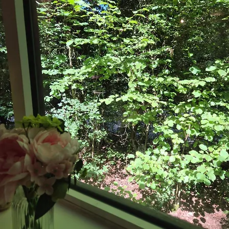 Chalet D Ooghe Durbuy